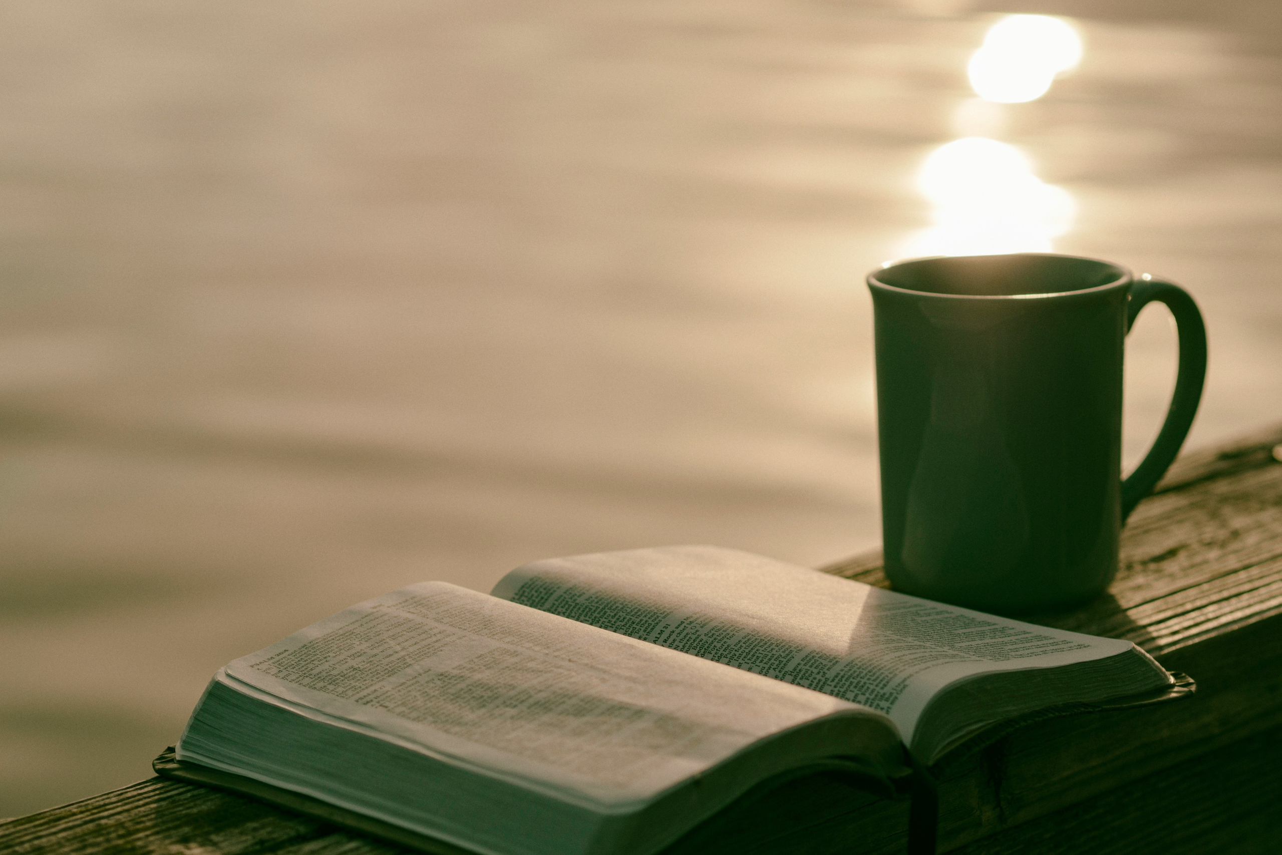bible:cup